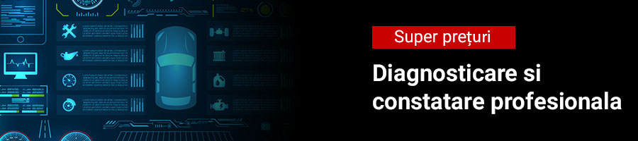 Constatare si diagnoza Constatare si diagnoza