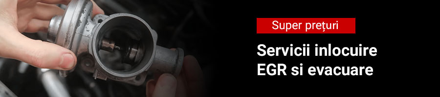 Service evacuare Service evacuare