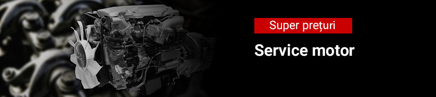 Service motor Service motor