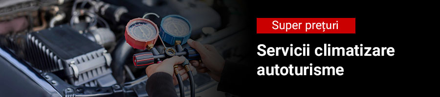 Service climatizare auto Service climatizare auto